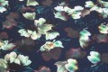 Żorżeta Barbie Marciano  - Zielone Magnolie - ciemnogranatowe tło 16